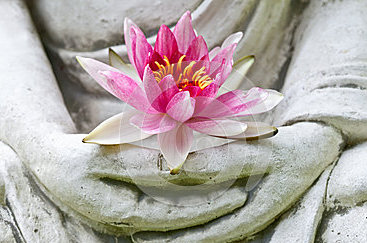 buddha-hands-holding-flower-29338192